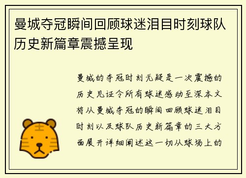 曼城夺冠瞬间回顾球迷泪目时刻球队历史新篇章震撼呈现