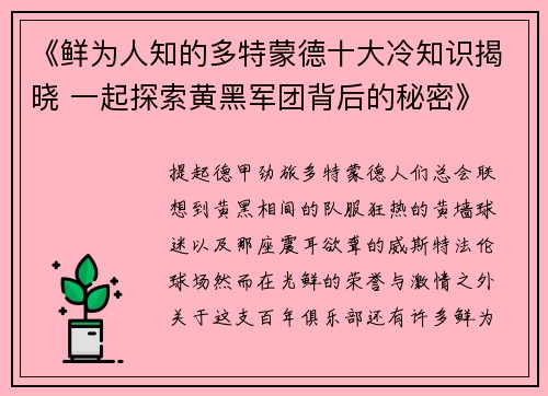 《鲜为人知的多特蒙德十大冷知识揭晓 一起探索黄黑军团背后的秘密》